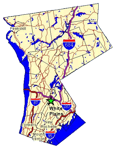 Description: J:\Westchester NYSBOC\mysite\westchester.gif